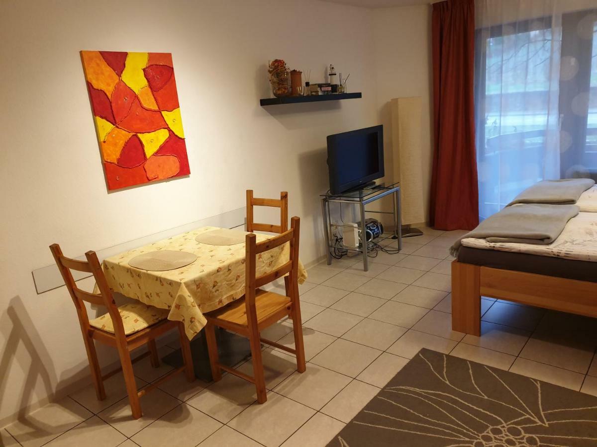 City Appartement 5 Freiburg im Breisgau Kültér fotó
